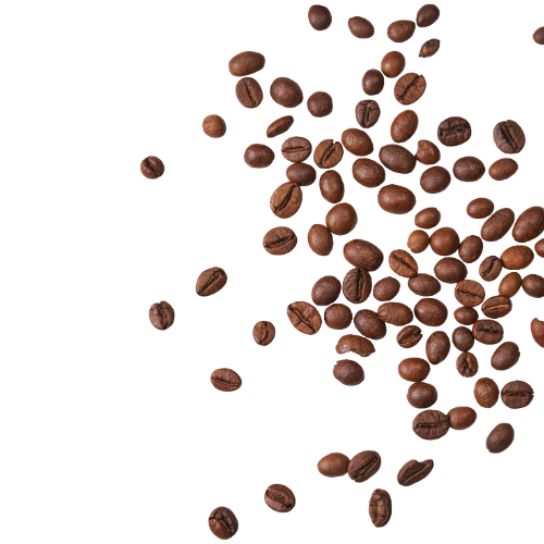 alberto coffee it espresso