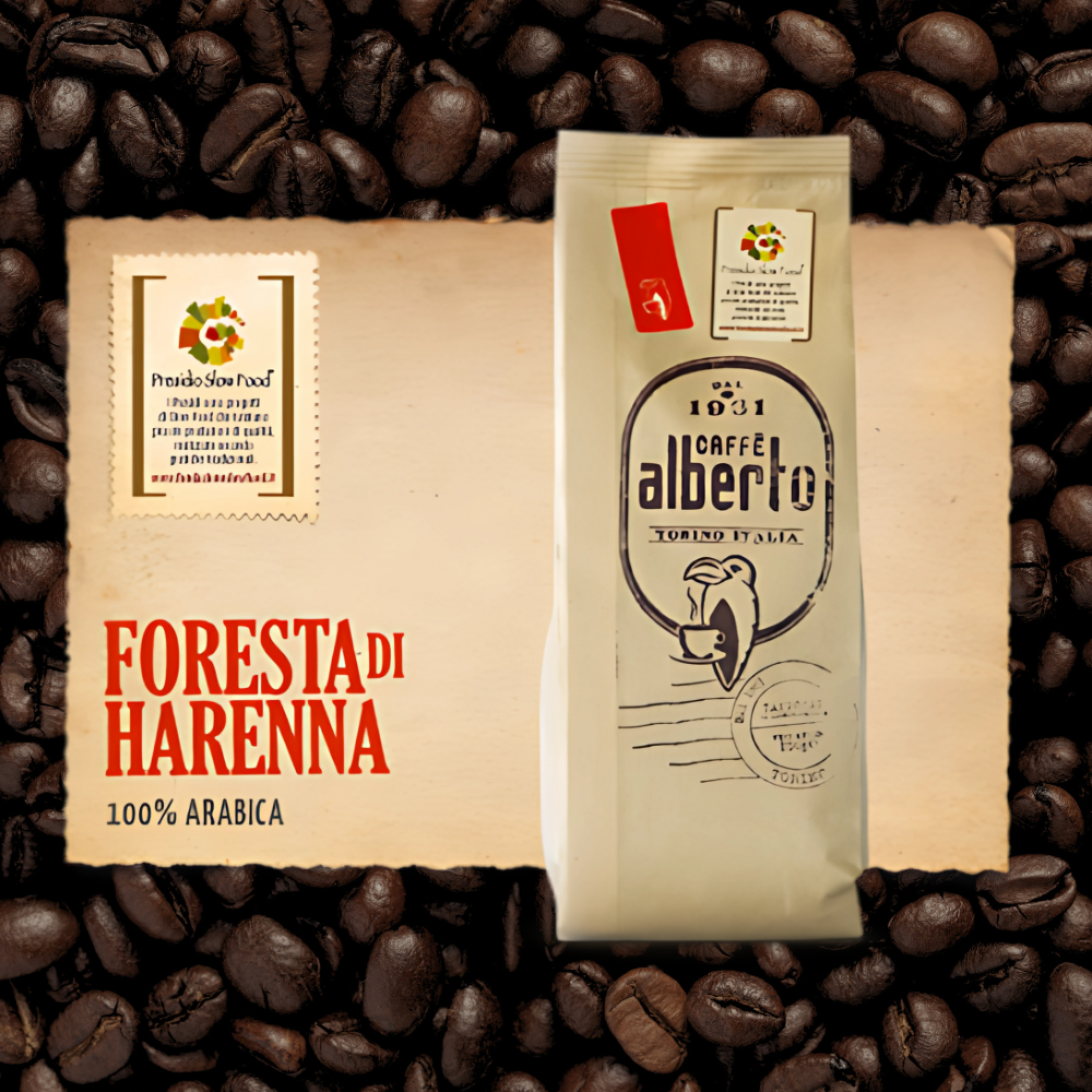 FORESTA Di HARENNA ARABICA